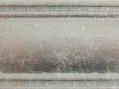 ZRL F_ARG5